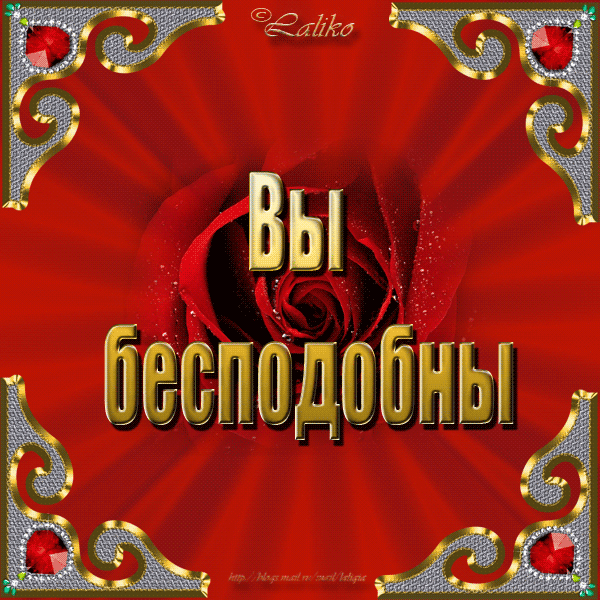 Вы великолепны картинки